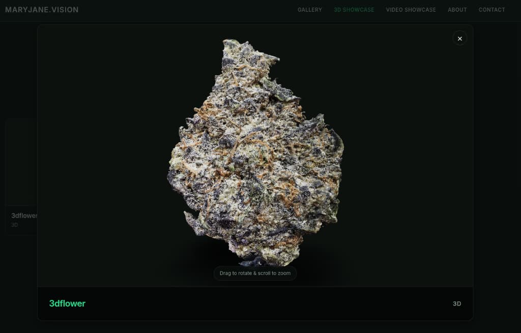 Medical Cannabis 3D Showcase